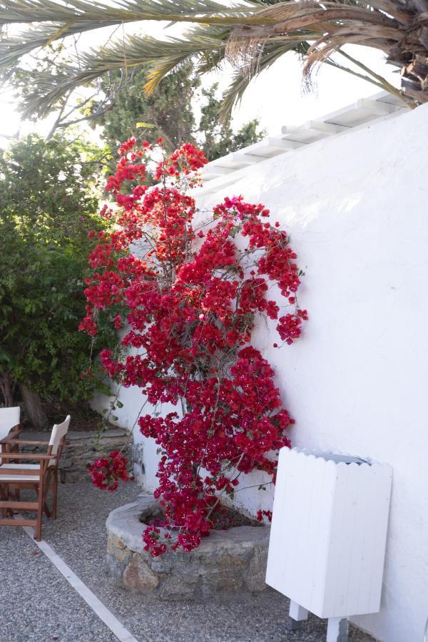 Petit Andromeda Mykonos I Aparthotel Mykonos Town Esterno foto